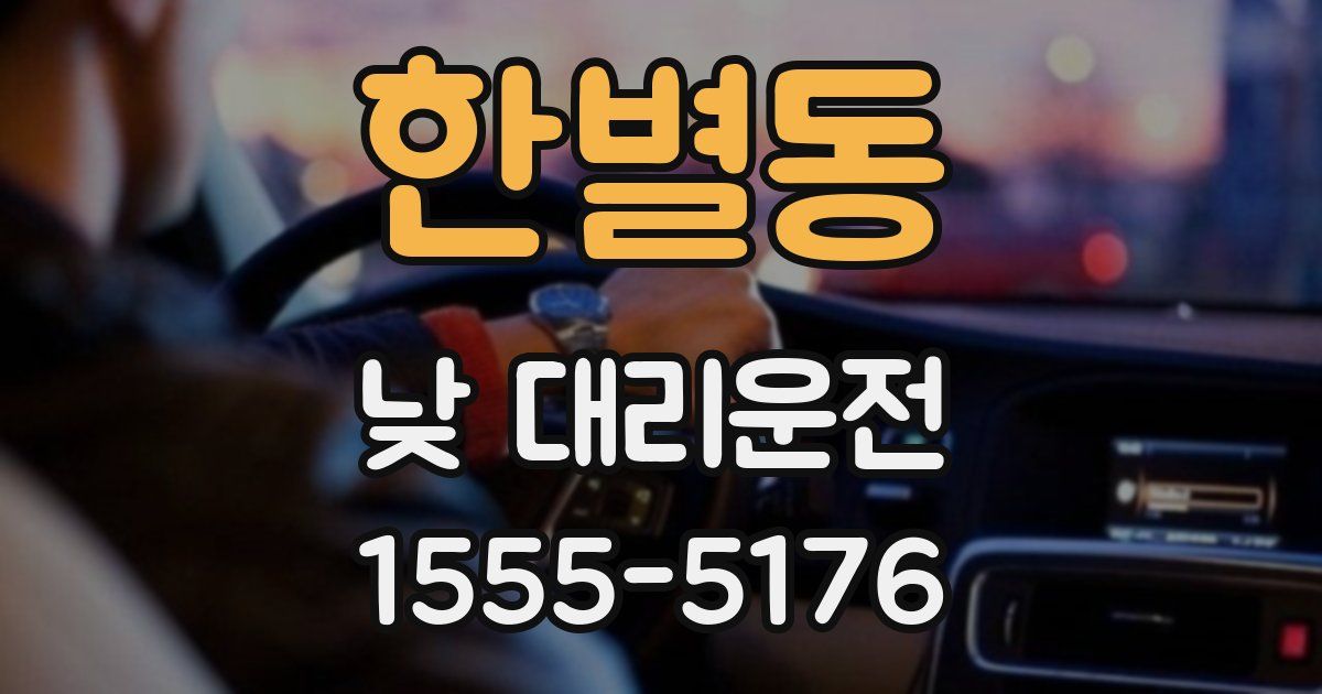 한별동 낮 대리운전