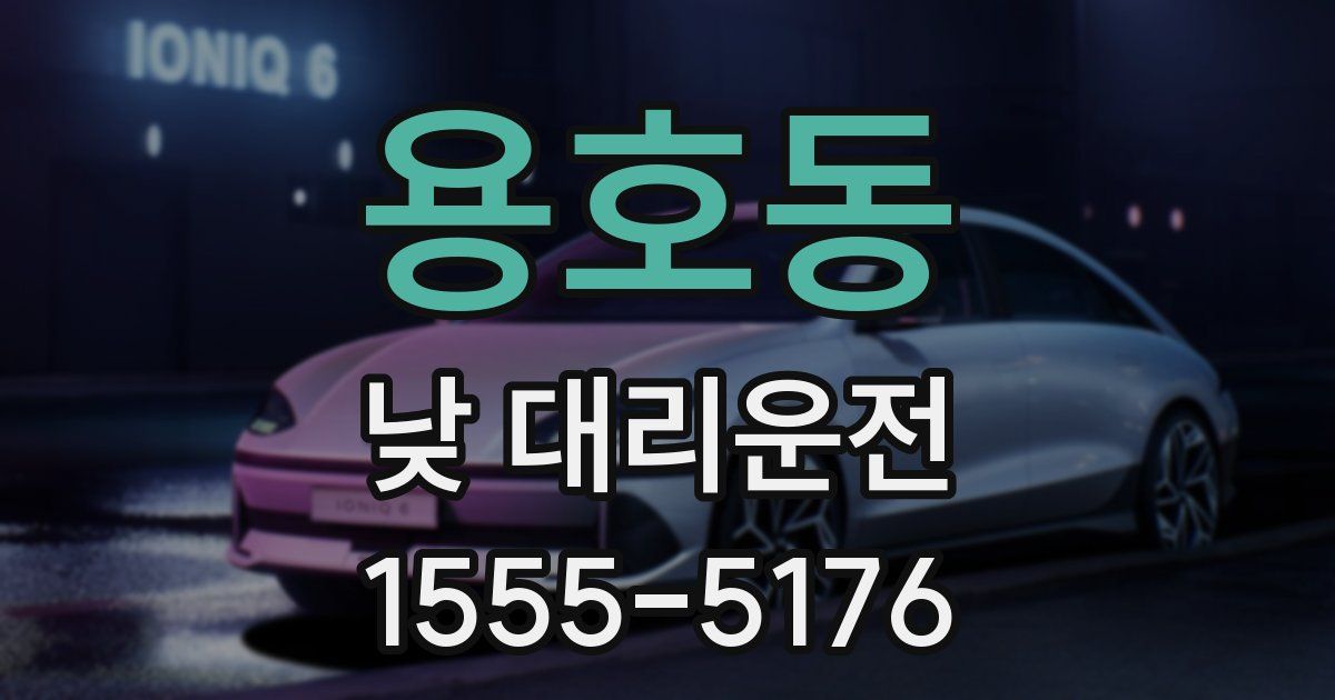 용호동 낮 대리운전