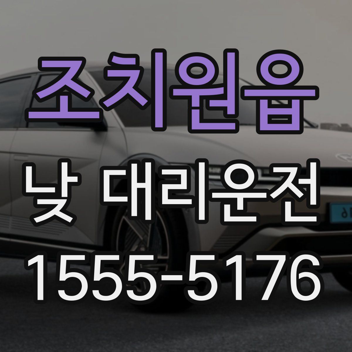 조치원읍 낮 대리운전