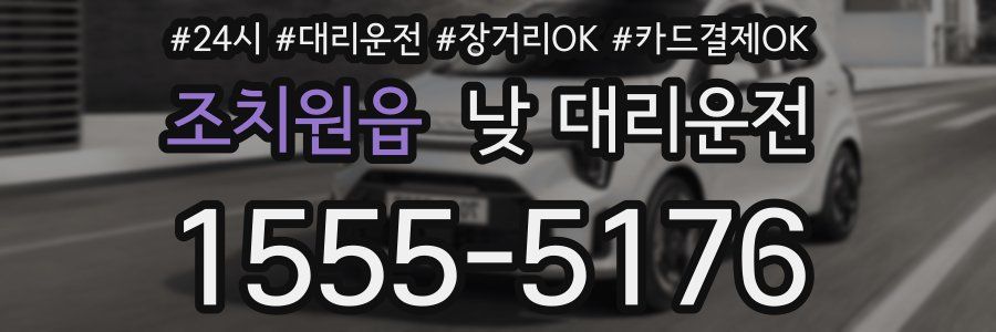 조치원읍 낮 대리운전