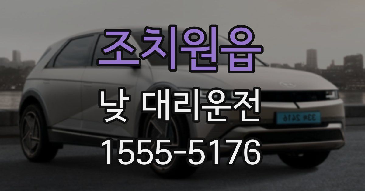 조치원읍 낮 대리운전