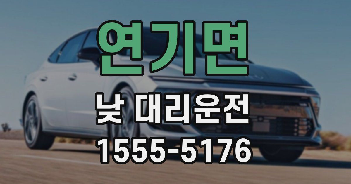 연기면 낮 대리운전