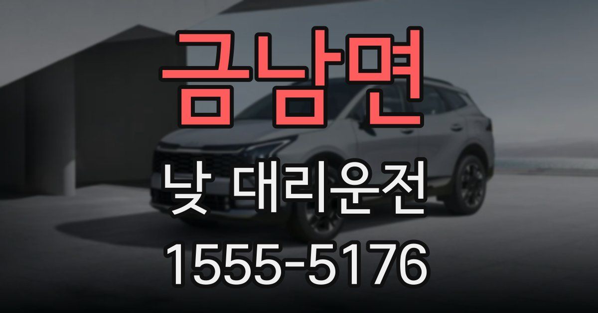 금남면 낮 대리운전