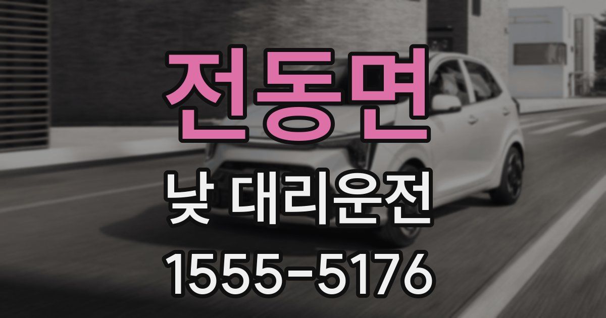 전동면 낮 대리운전