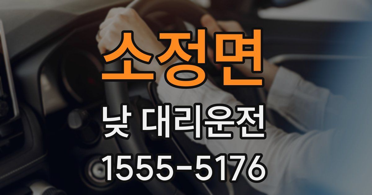 소정면 낮 대리운전