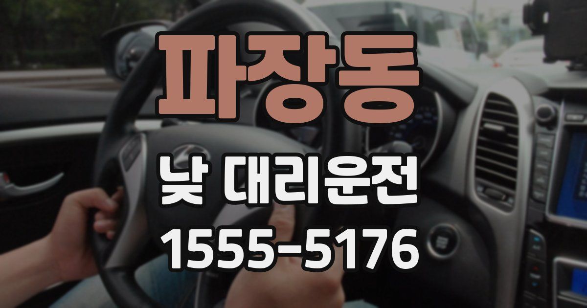 파장동 낮 대리운전