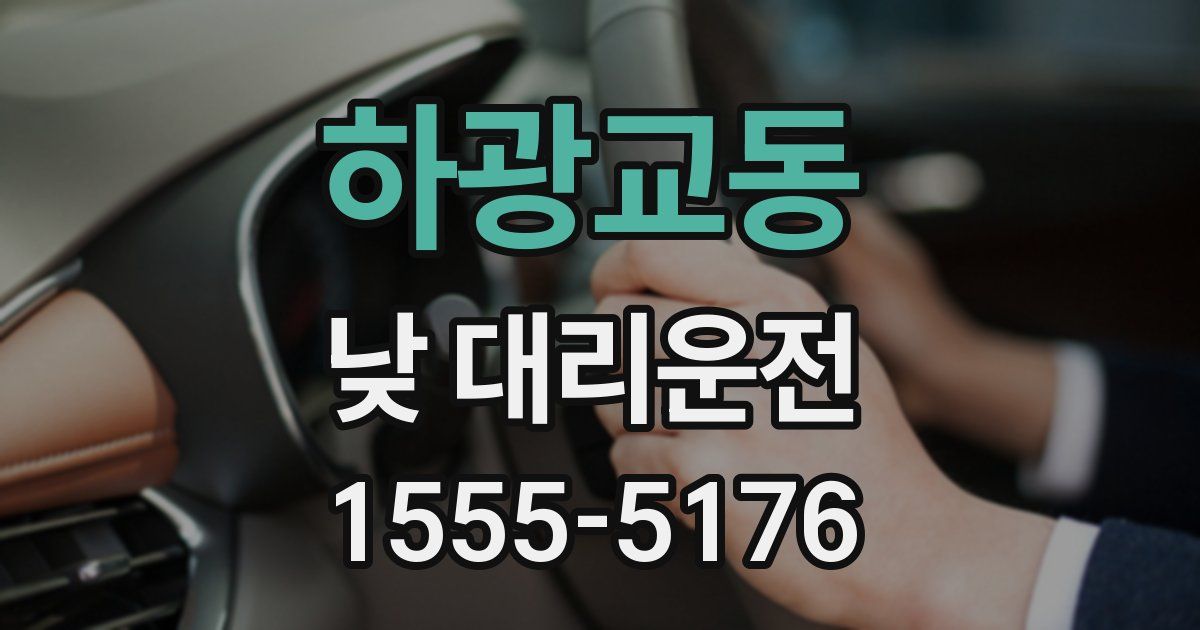 하광교동 낮 대리운전