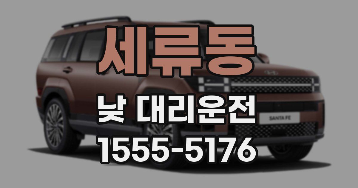 세류동 낮 대리운전
