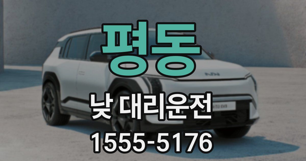 평동 낮 대리운전