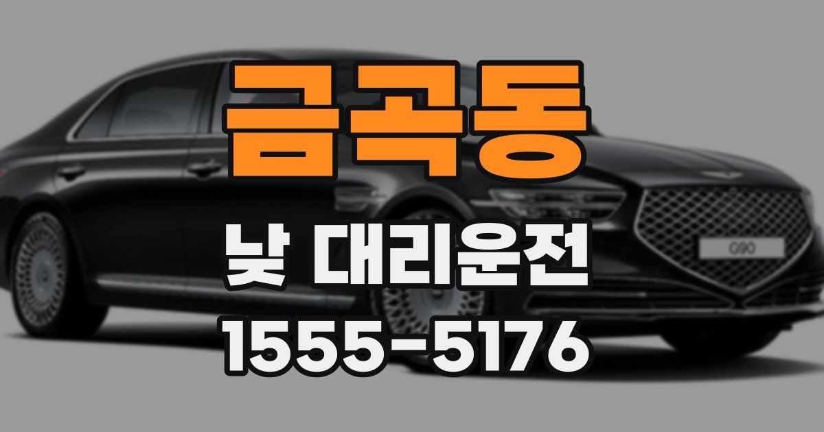 금곡동 낮 대리운전