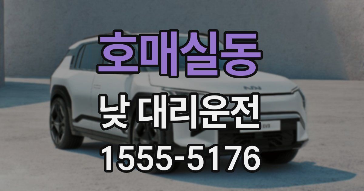 호매실동 낮 대리운전