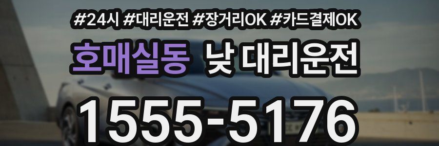 호매실동 낮 대리운전