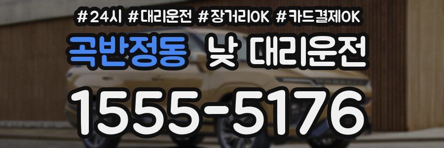 곡반정동 낮 대리운전
