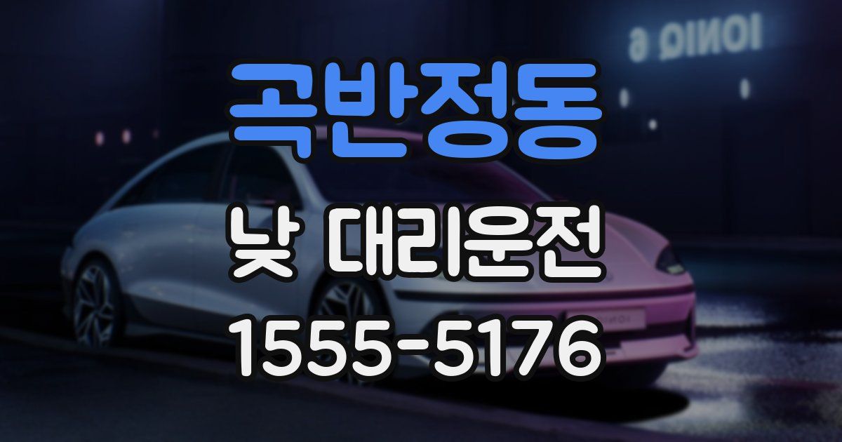 곡반정동 낮 대리운전