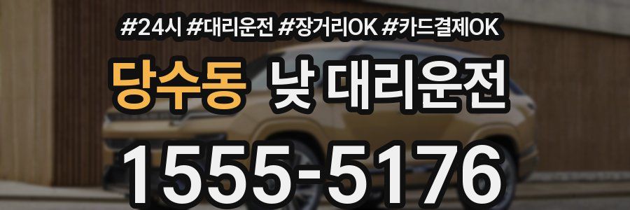 당수동 낮 대리운전