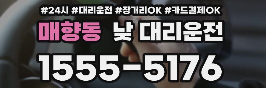 매향동 낮 대리운전