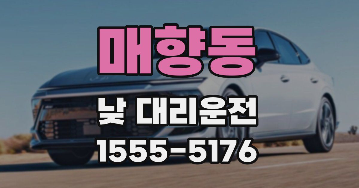 매향동 낮 대리운전