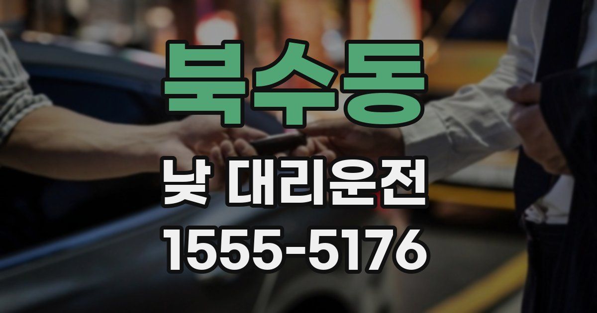 북수동 낮 대리운전