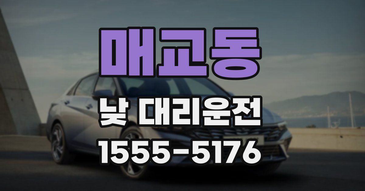 매교동 낮 대리운전