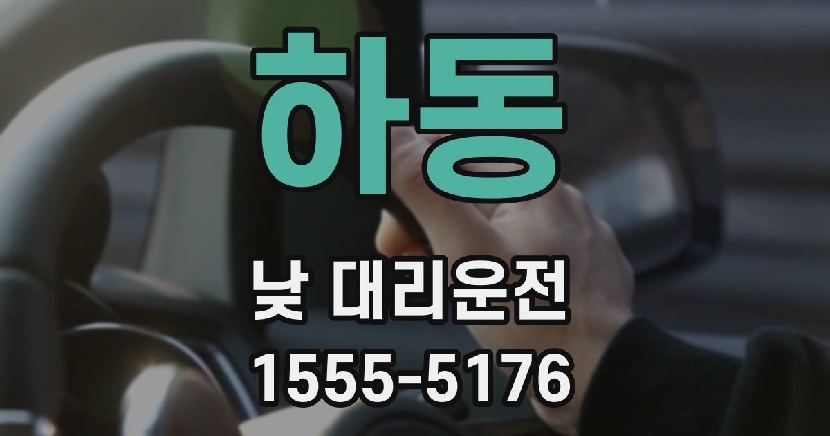 하동 낮 대리운전