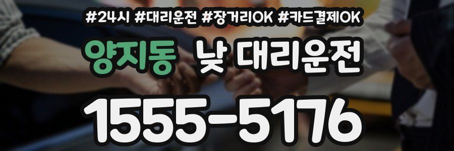양지동 낮 대리운전