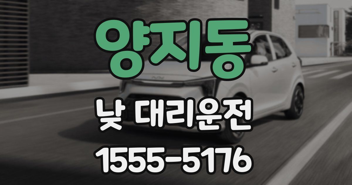 양지동 낮 대리운전
