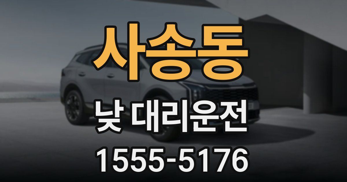 사송동 낮 대리운전