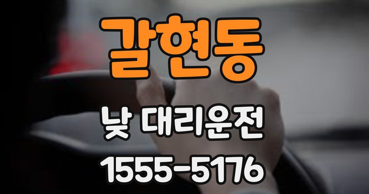 갈현동 낮 대리운전