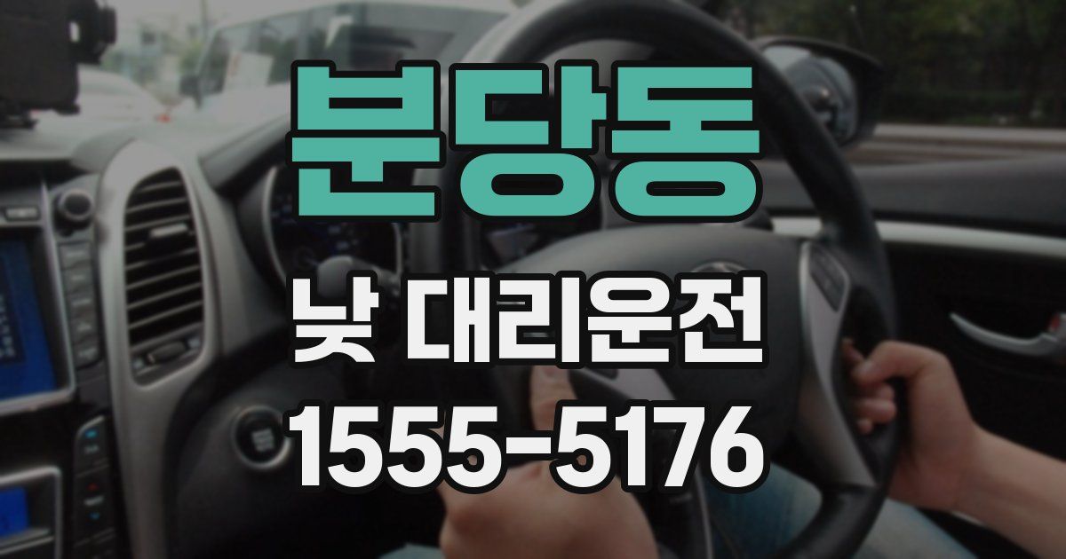 분당동 낮 대리운전