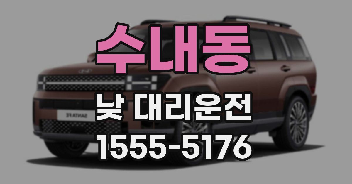 수내동 낮 대리운전