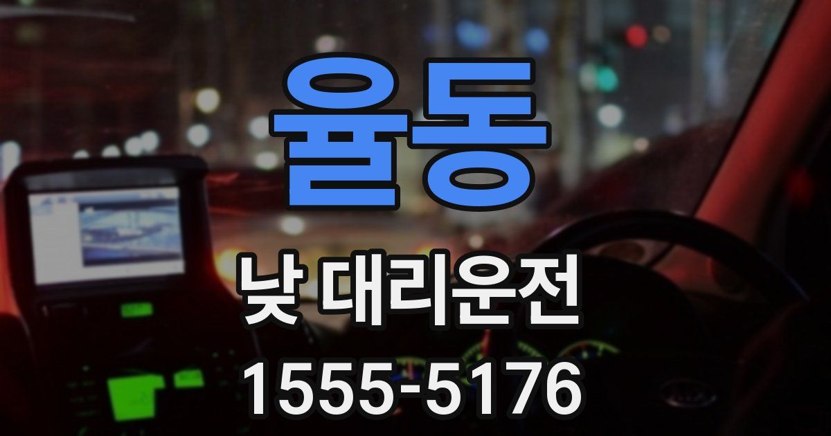 율동 낮 대리운전