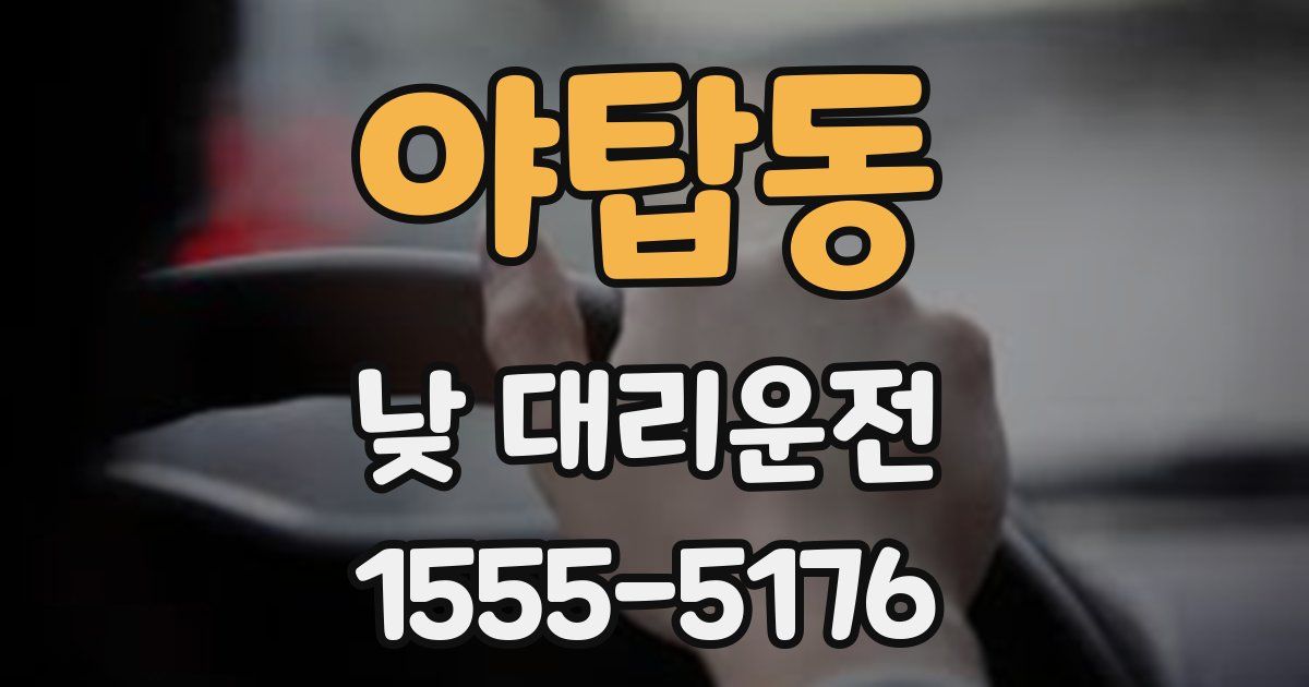 야탑동 낮 대리운전