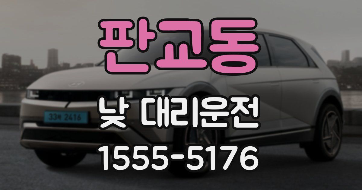 판교동 낮 대리운전