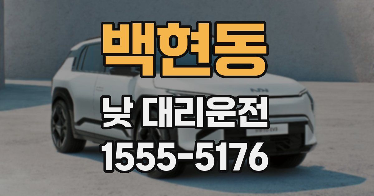 백현동 낮 대리운전
