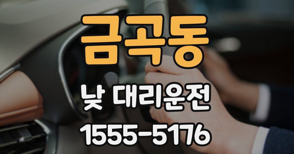 금곡동 낮 대리운전