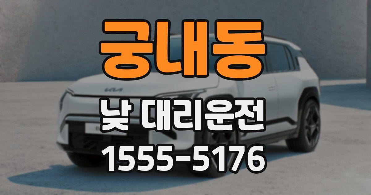 궁내동 낮 대리운전