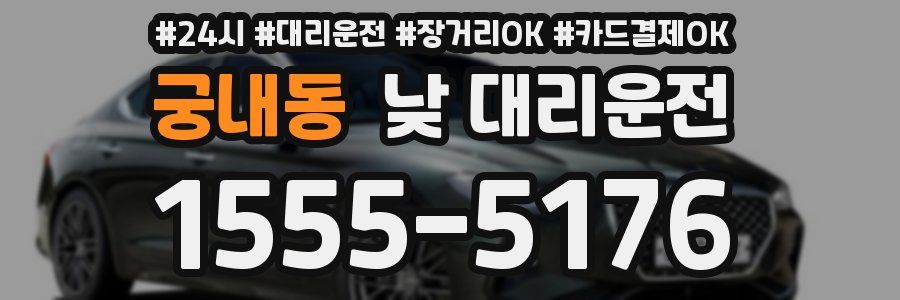 궁내동 낮 대리운전