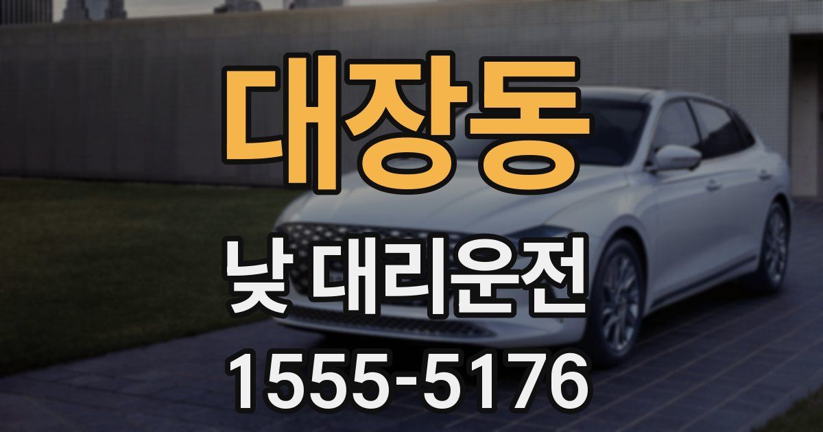 대장동 낮 대리운전