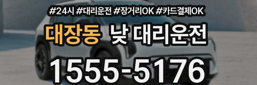 대장동 낮 대리운전