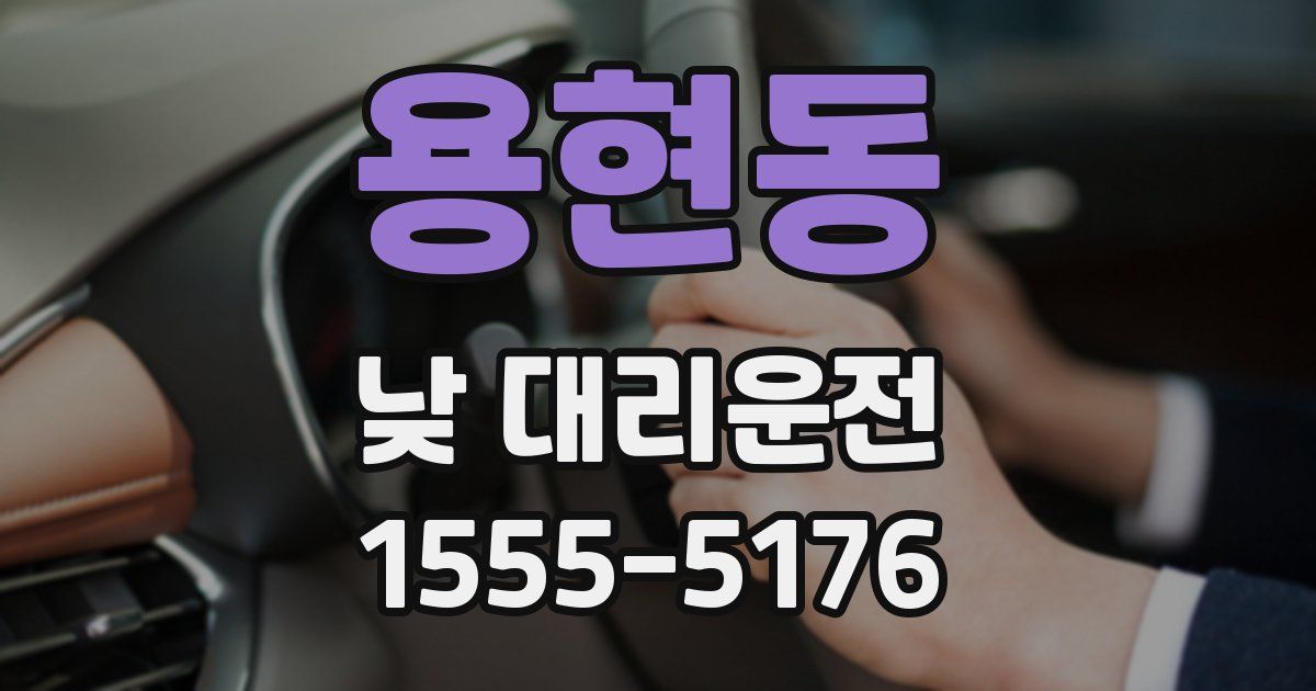 용현동 낮 대리운전