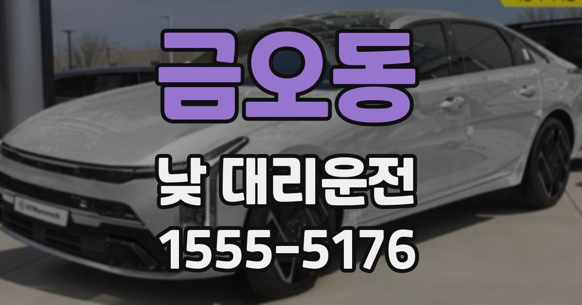 금오동 낮 대리운전