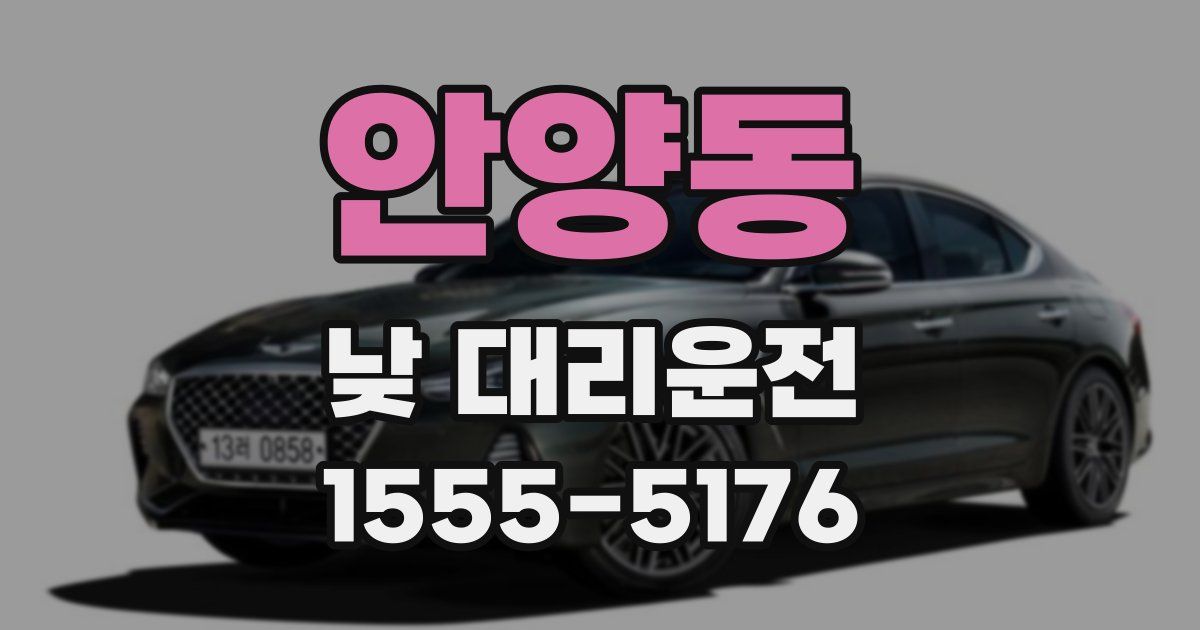 안양동 낮 대리운전