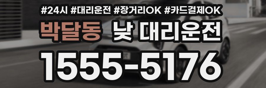 박달동 낮 대리운전