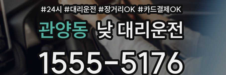 관양동 낮 대리운전
