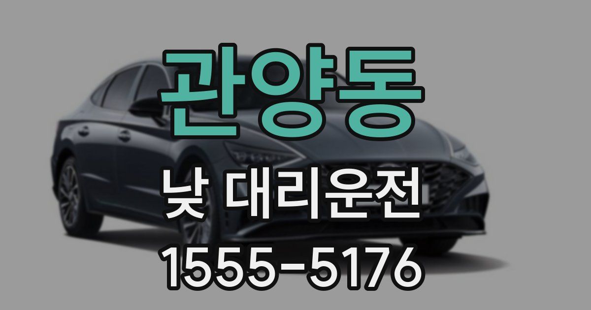 관양동 낮 대리운전