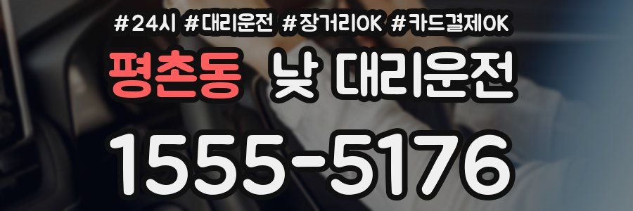 평촌동 낮 대리운전