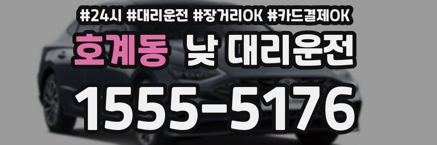 호계동 낮 대리운전