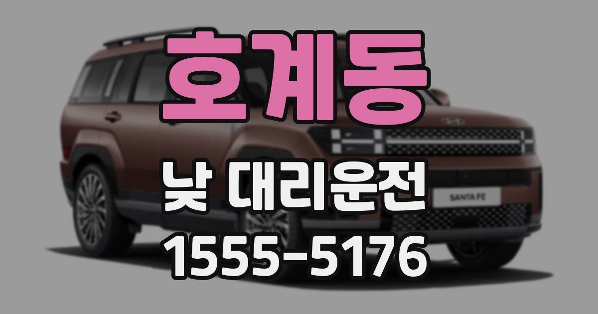 호계동 낮 대리운전