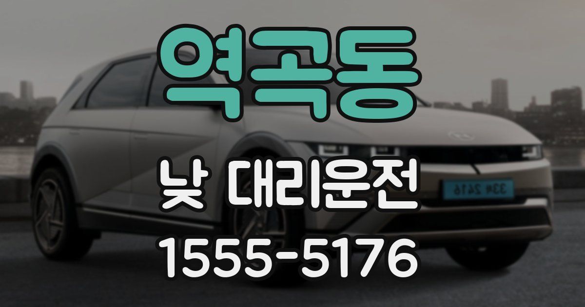 역곡동 낮 대리운전
