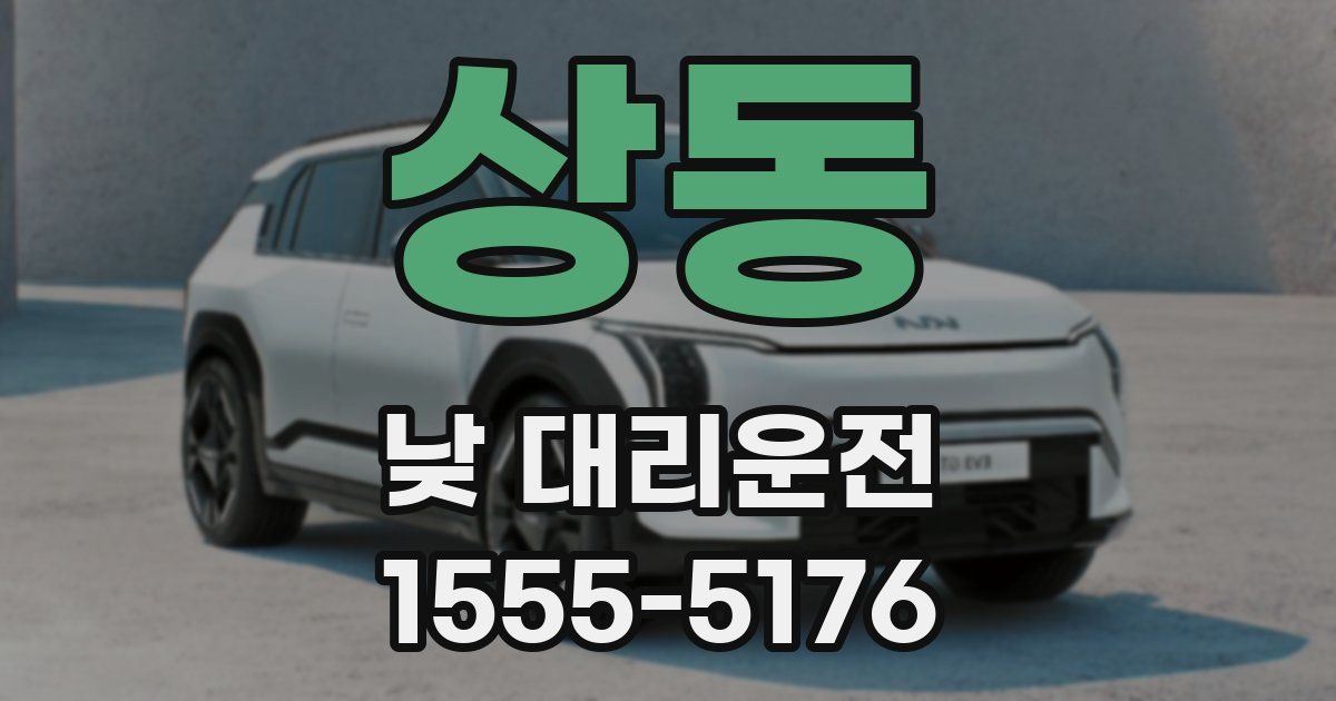 상동 낮 대리운전